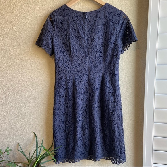 Deep Purple Ann Taylor Lace Dress - Picture 3 of 11
